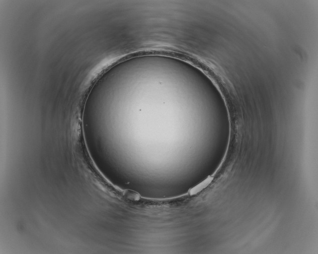 X0000112761363200908271610