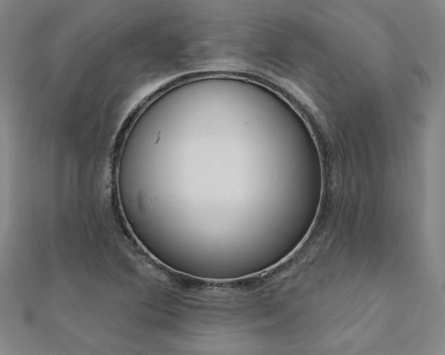 X0000112761364200908271610