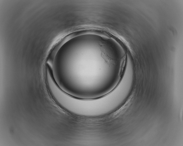 X0000112761365200908271610