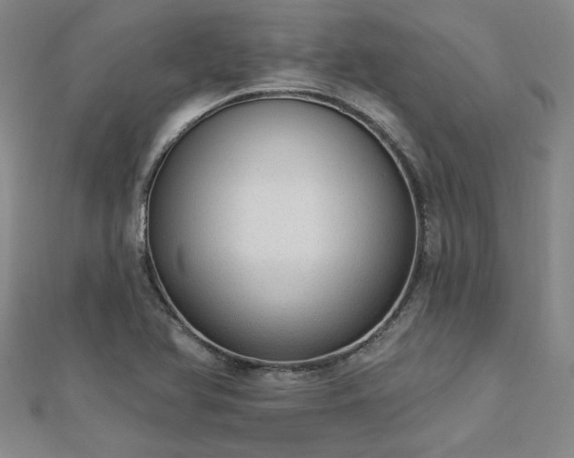 X0000112761366200908271610