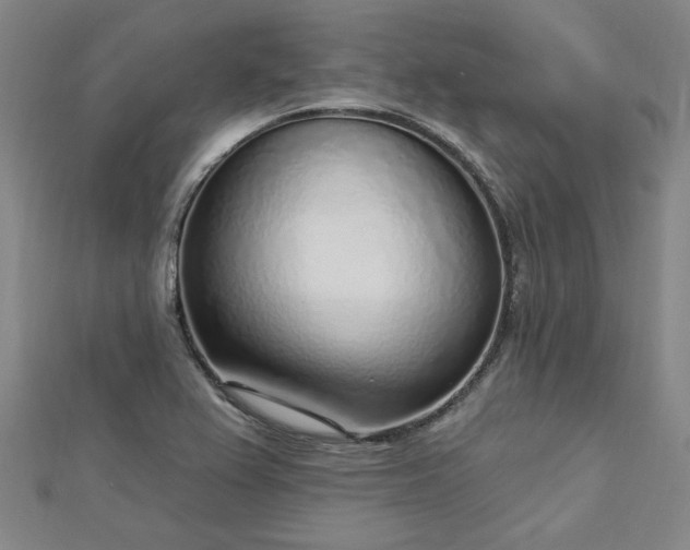 X0000112761367200908271610