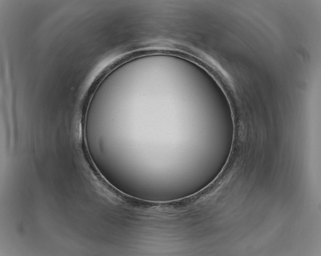 X0000112761368200908271610
