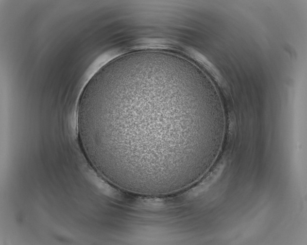 X0000112761370200908271610