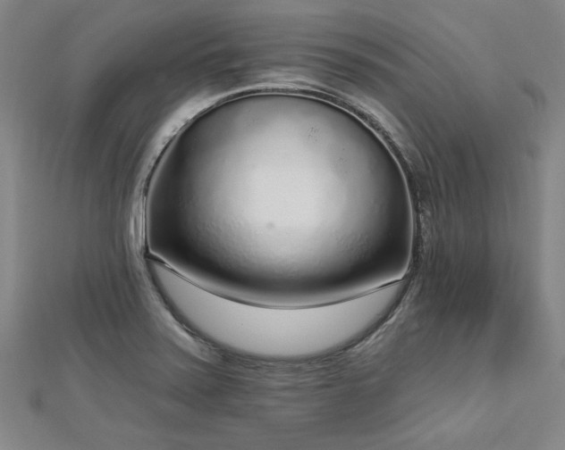 X0000112761371200908271610