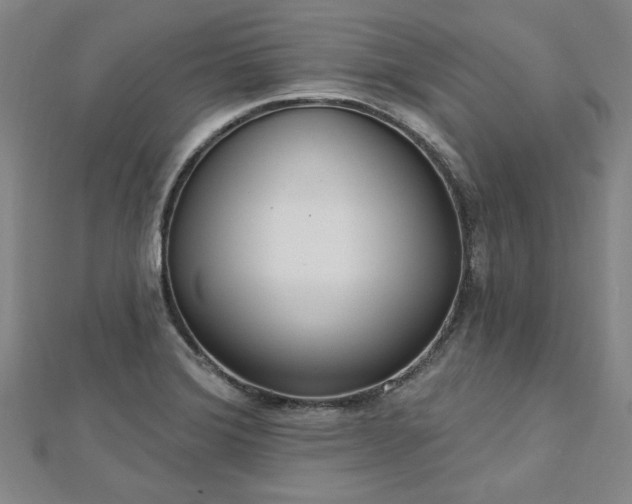 X0000112761372200908271610