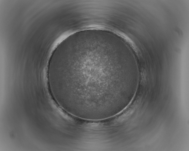 X0000112761373200908271610