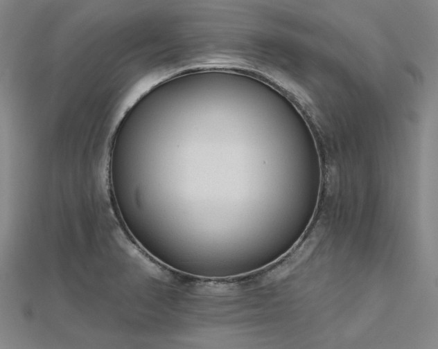 X0000112761374200908271610
