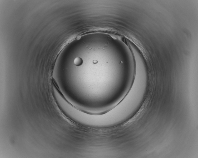X0000112761377200908271610