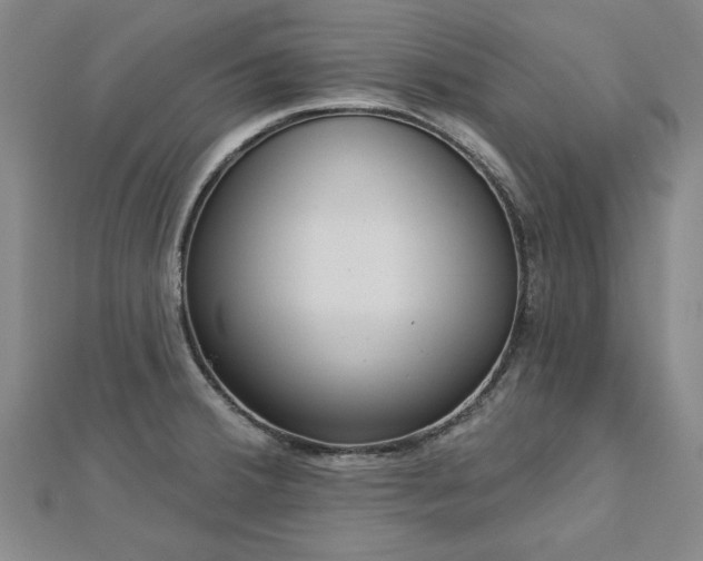 X0000112761380200908271610