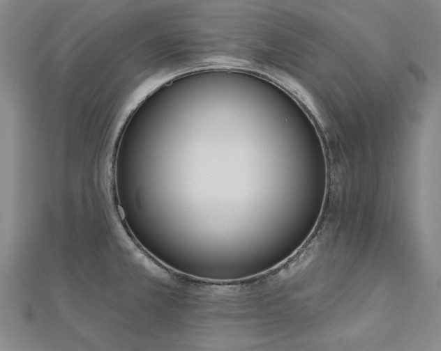 X0000112761381200908271610