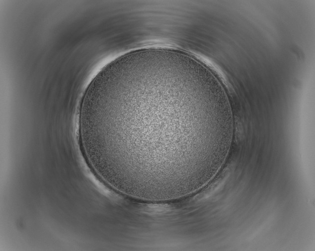 X0000112761383200908271610