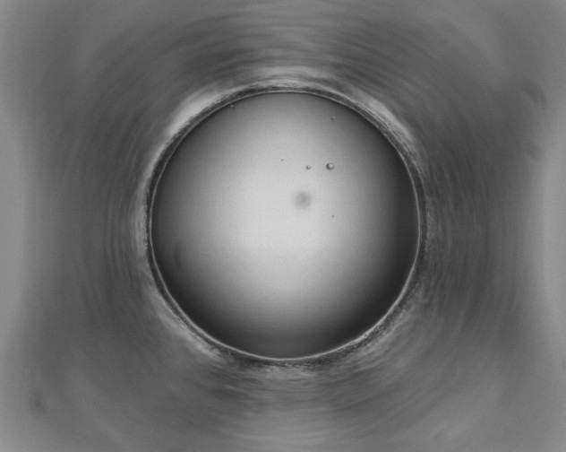 X0000112761384200908271610