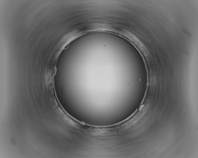 X0000112761385200908271610