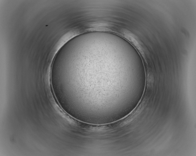X0000112761386200908271610