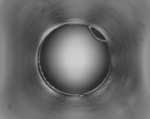 X0000112761387200908271610