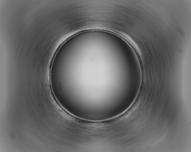 X0000112761388200908271610