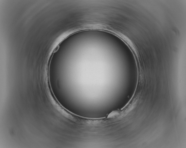 X0000112761389200908271610