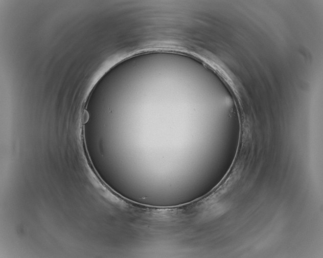 X0000112761390200908271610