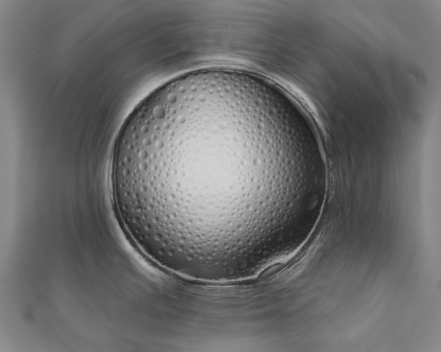 X0000112761391200908271610