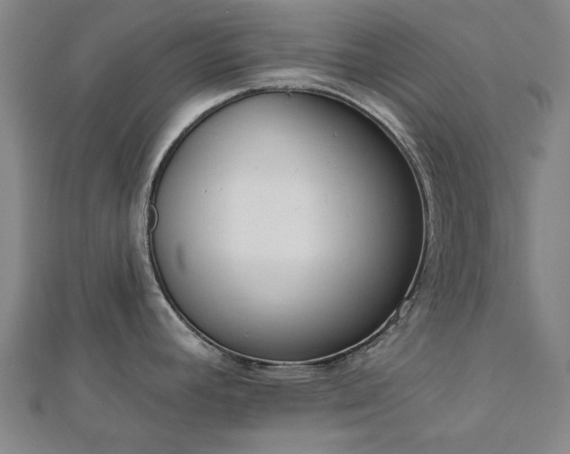 X0000112761392200908271610