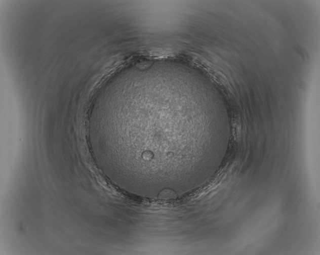 X0000112761393200908271609