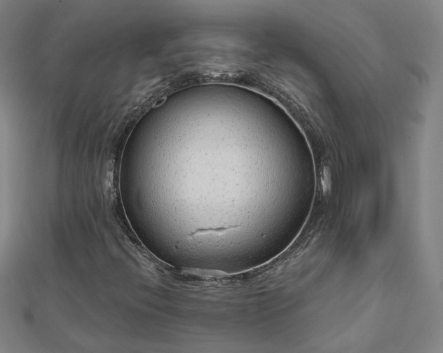 X0000112761396200908271609