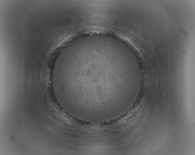 X0000112761399200908271609