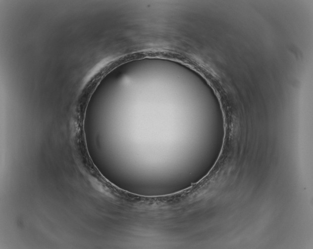 X0000112761400200908271609