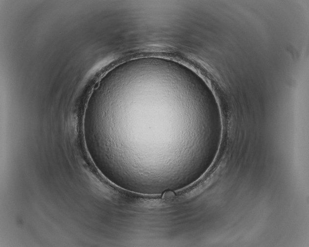 X0000112761402200908271609