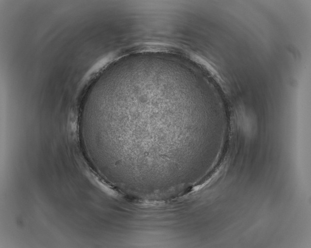 X0000112761403200908271609