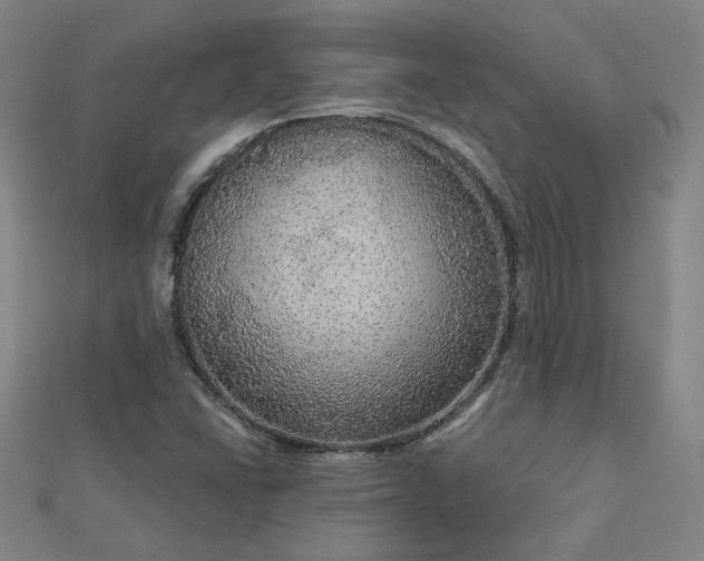 X0000112761406200908271609