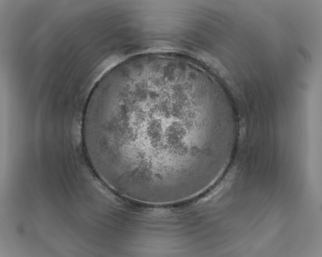 X0000112761409200908271609