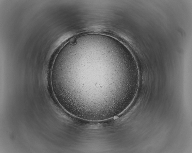 X0000112761410200908271609