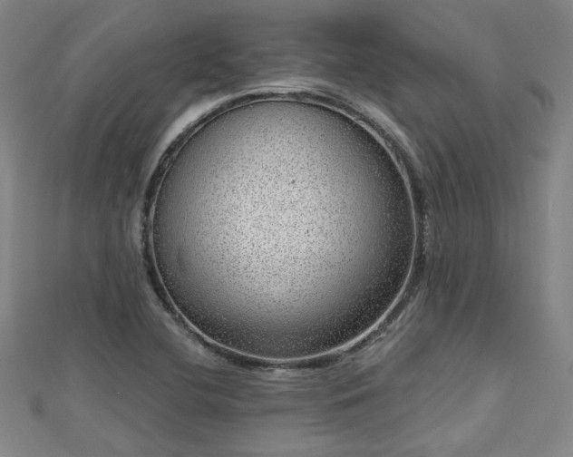 X0000112761412200908271609