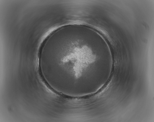 X0000112761414200908271609