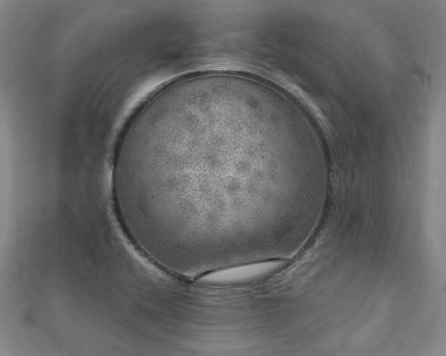 X0000112761416200908271609