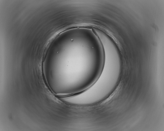 X0000112761417200908271609