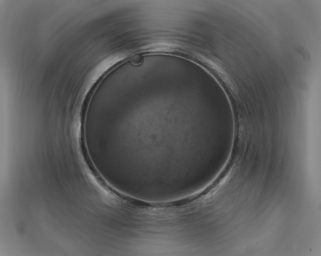 X0000112761418200908271609