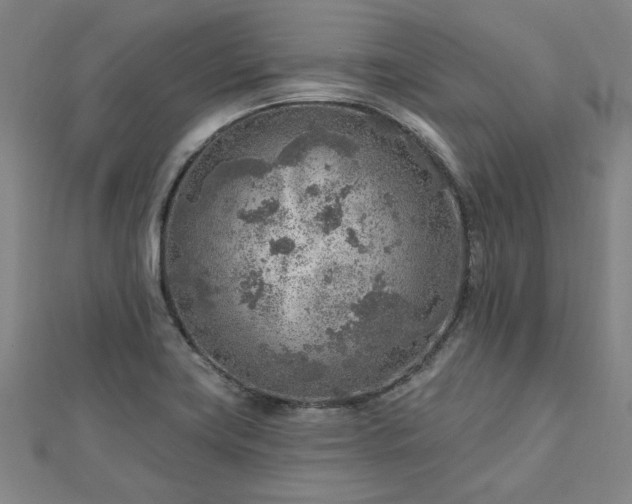 X0000112761419200908271609