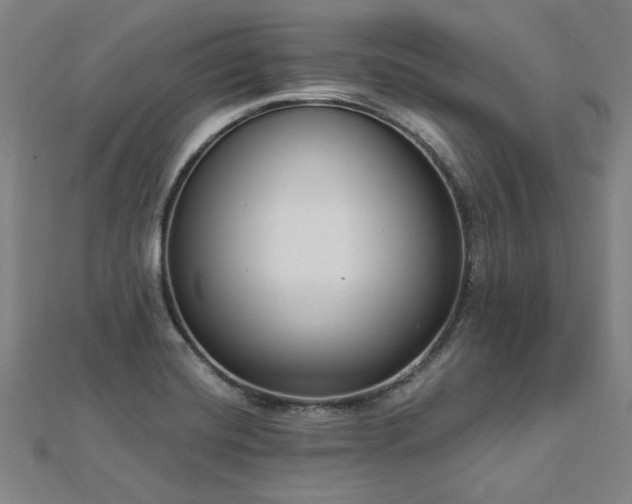 X0000112761420200908271609