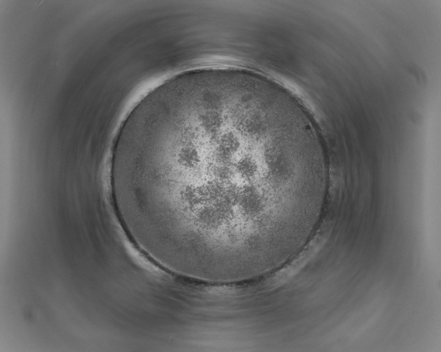X0000112761421200908271609