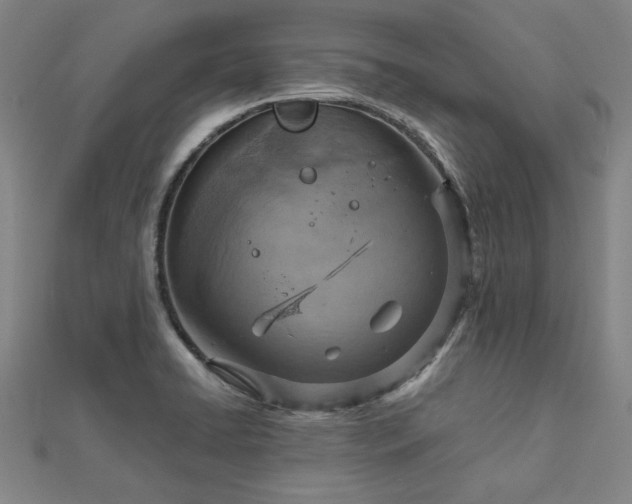 X0000112761422200908271609