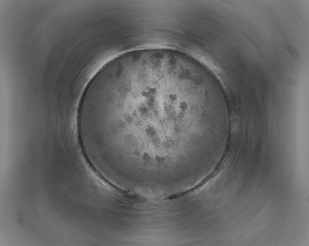 X0000112761423200908271609