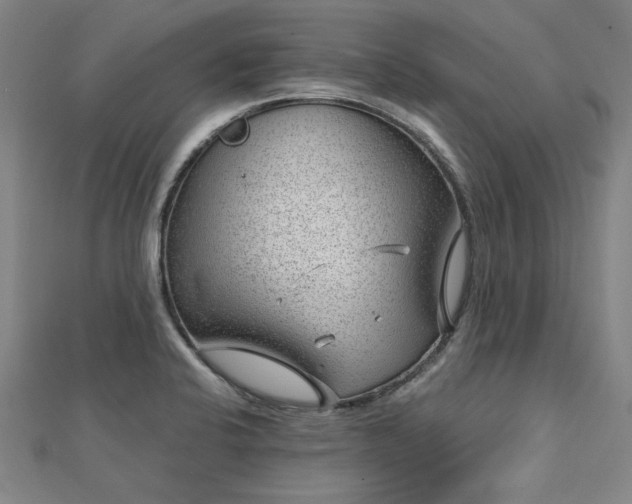 X0000112761424200908271609