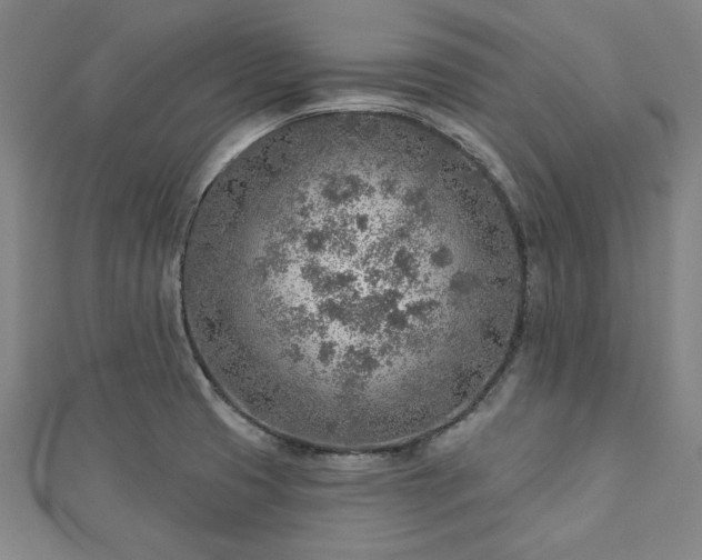 X0000112761425200908271609