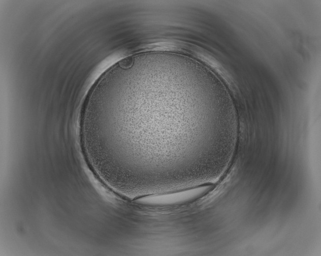 X0000112761426200908271609