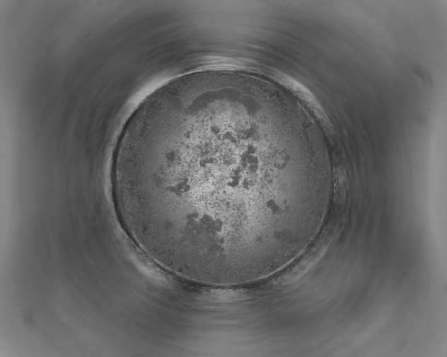X0000112761427200908271609
