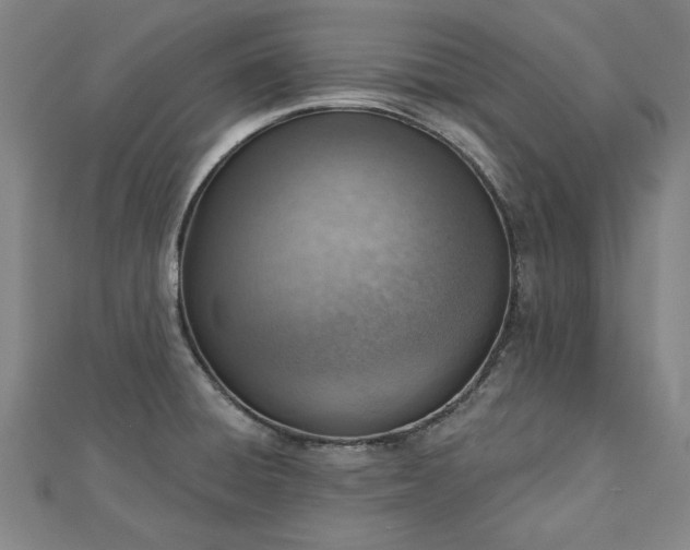 X0000112761428200908271609