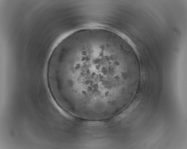 X0000112761429200908271609