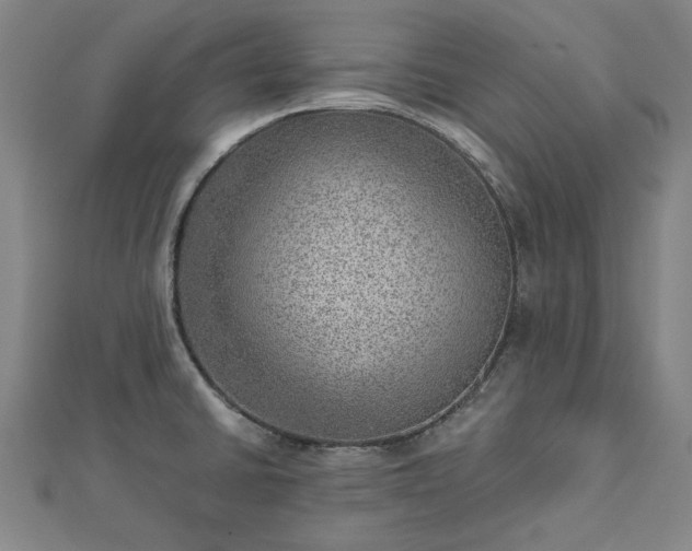 X0000112761430200908271609